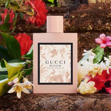 fragance like gucci bloom|gucci bloom fragrantica.